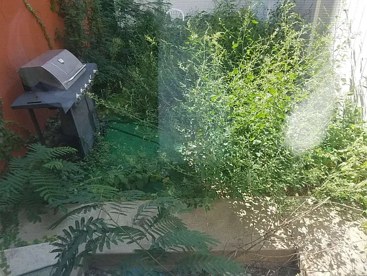 Rented by The Hamilton Group | media 5