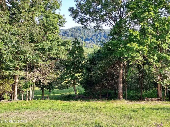 LOT 3 Trents Chapel Rd, Sneedville, TN 37869