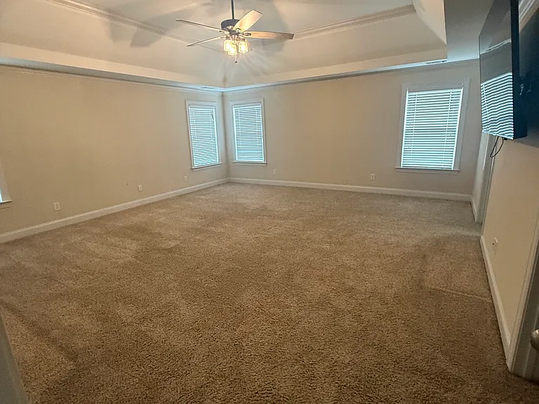 239 Tulip Dr — Photo 9