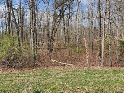 210 E Shore Dr, Rockwood, TN, 37854