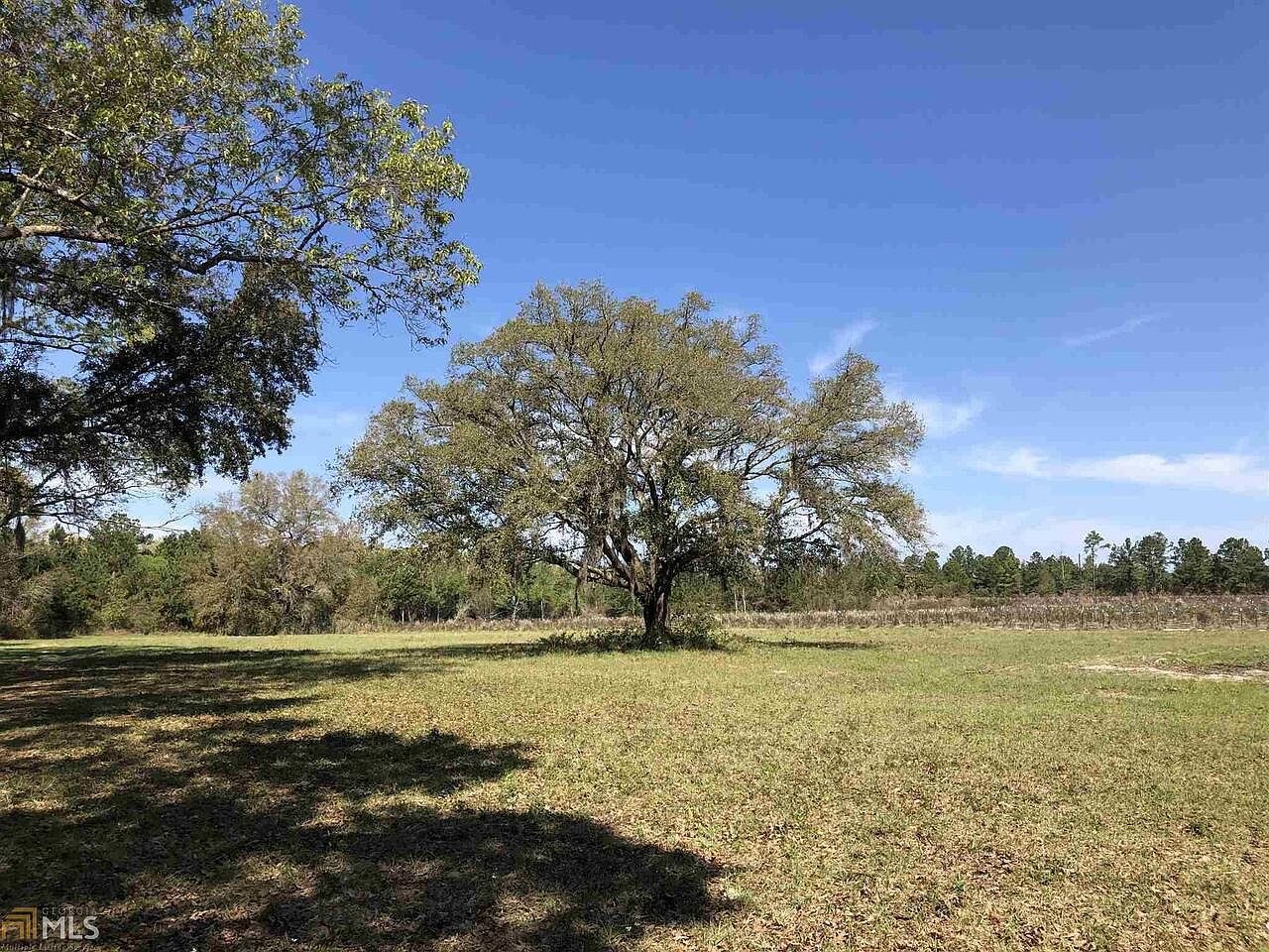 1933 Dewey Hickox Rd, Nahunta, GA 31553 Zillow