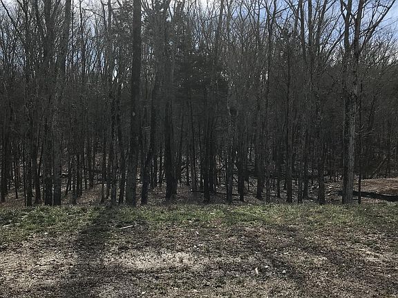 2nd image of 8633 Belladonna Dr