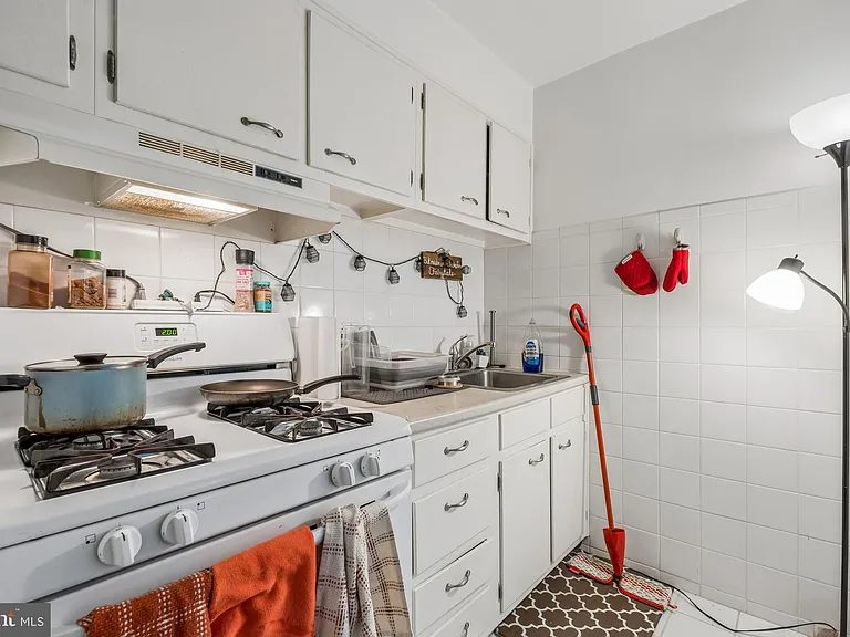 604 S Washington Sq #36-1006 — Photo 5