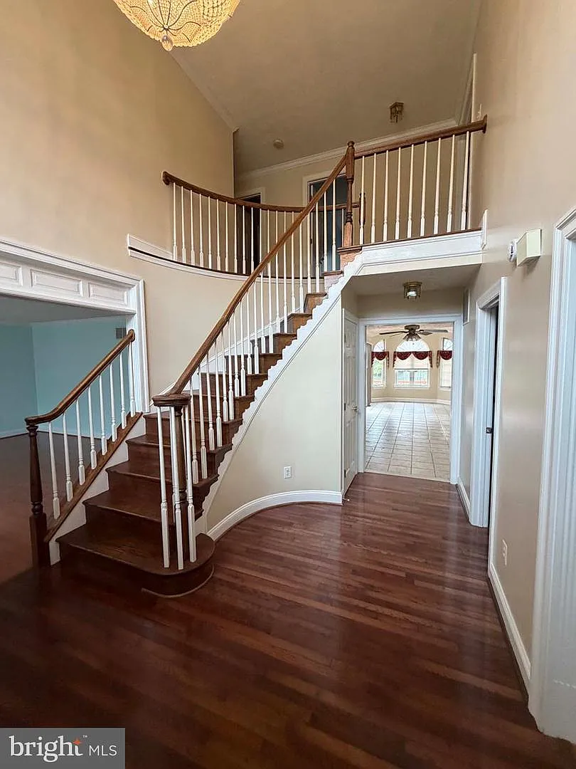5 bed, 3.5 bath, 4619 sqft, $4,750 — Photo 3