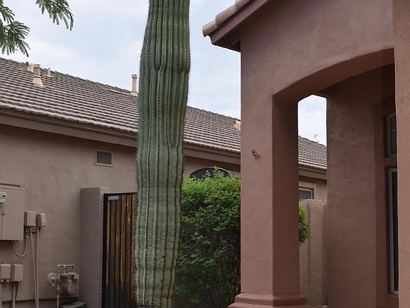 2nd image of 10429 E Texas Sage Ln