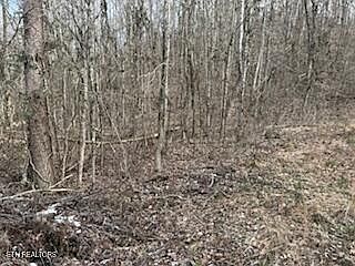 5th image of Bates Gibson Rd