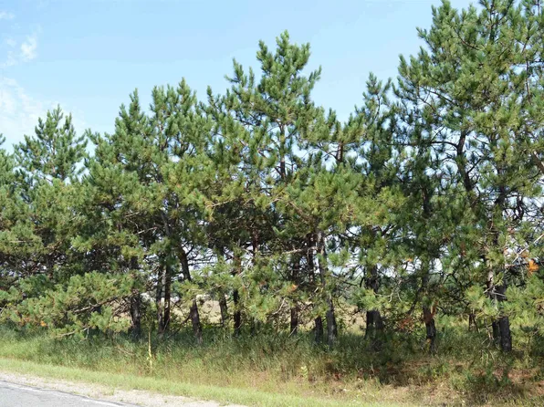 Coster Rd, Fife Lake, MI 49633
