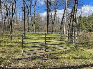 Peacock Rd, Wellston, MI 49689