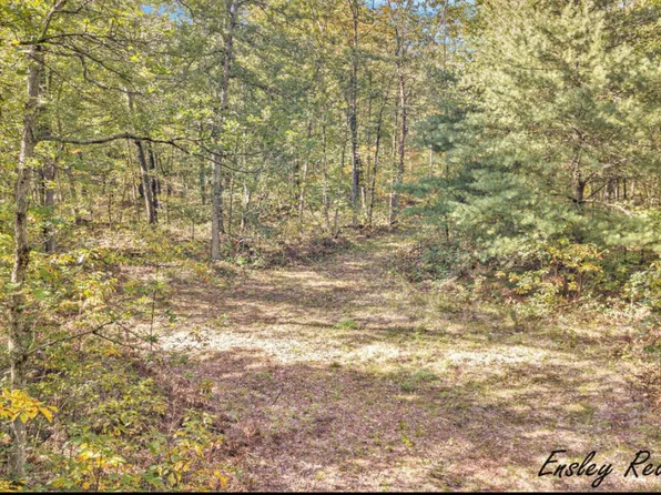 V/l S Woodland Dr, Newaygo, MI 49337