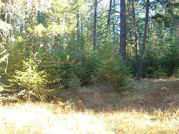 4th image of Xxx Lodge Pole Ln