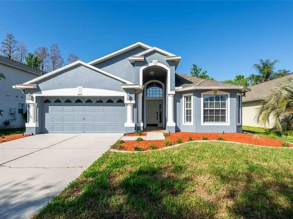 4045 Marchmont Blvd, Land O Lakes, FL 34638