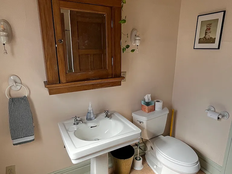 Medicine cabinet and plants in cozy bathroom
