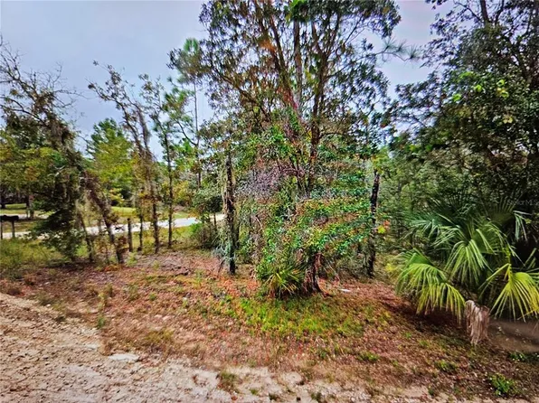 SE 4th St Lot 6, Williston, FL 32696