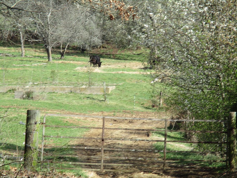 0 Muddy Creek Rd, Blountville, TN 37617 Zillow