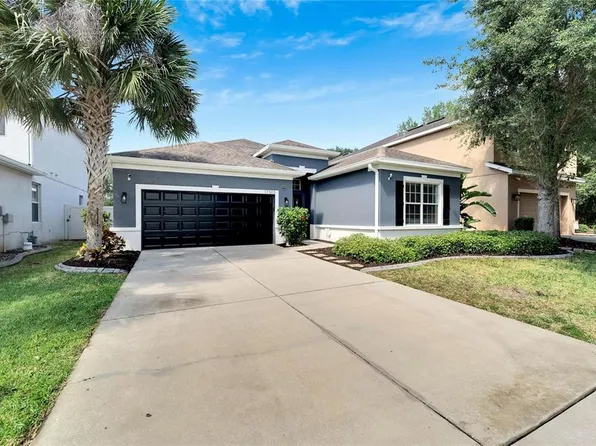 17303 Chelsea Downs Cir, Lithia, FL 33547