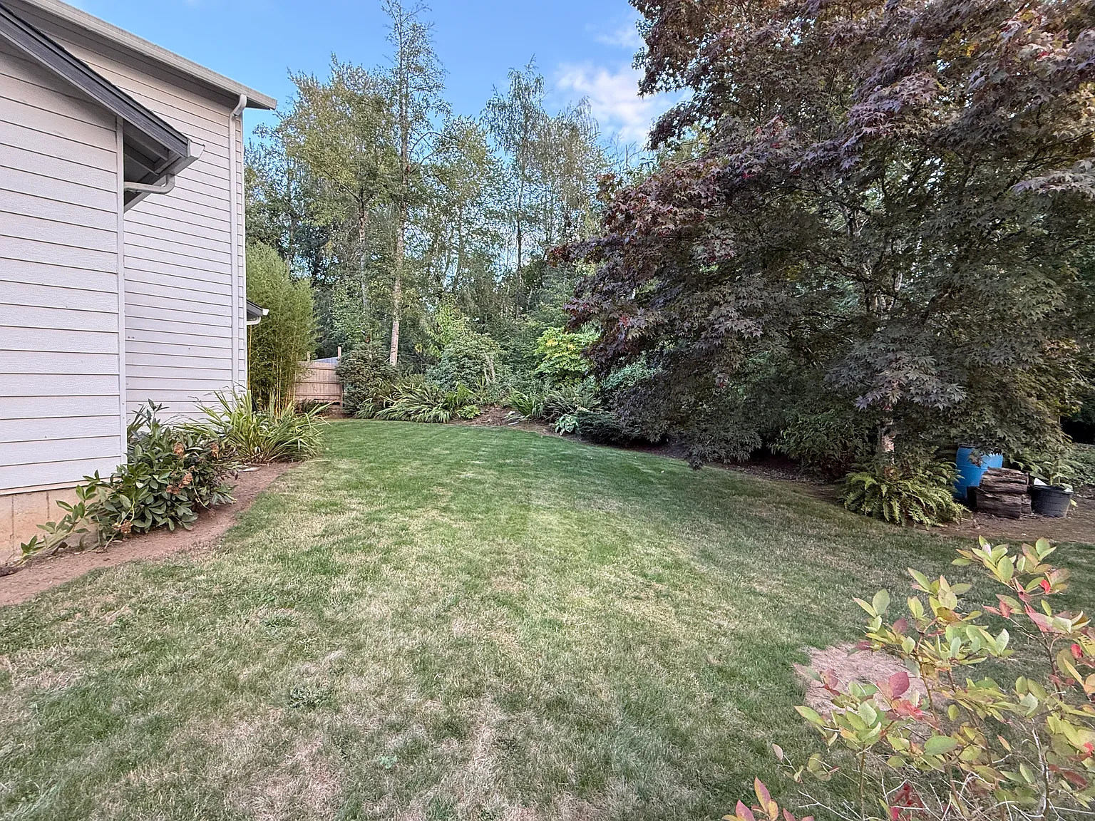4 bed, 2389 sqft, $3,350 — Photo 2