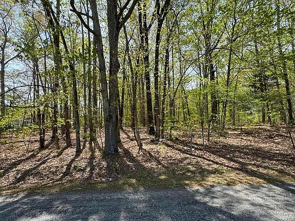 4th image of 0 Peninsula Ln #4