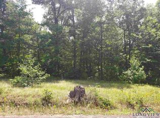 3257 E Zinnia Rd, Diana, TX 75640