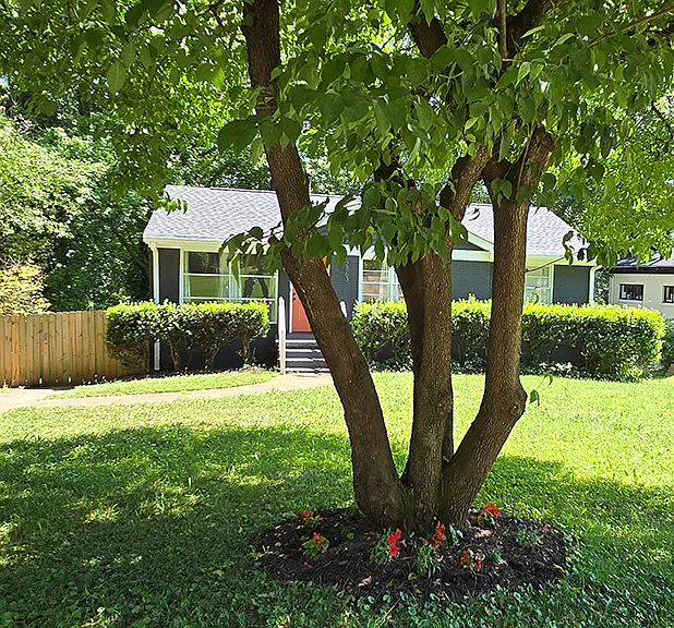 2863 Catalina Dr — Photo 2