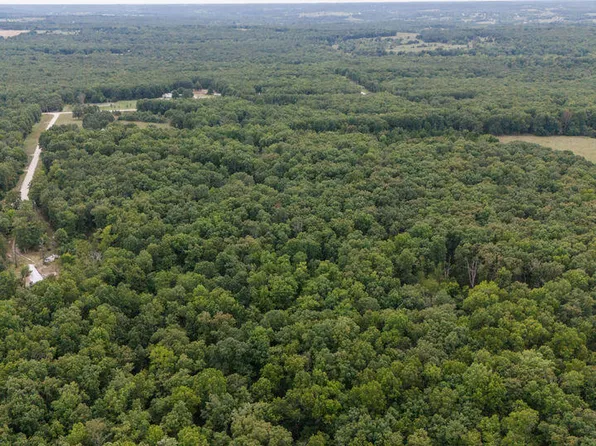 000 Buggy Drive, Fair Grove, MO 65648