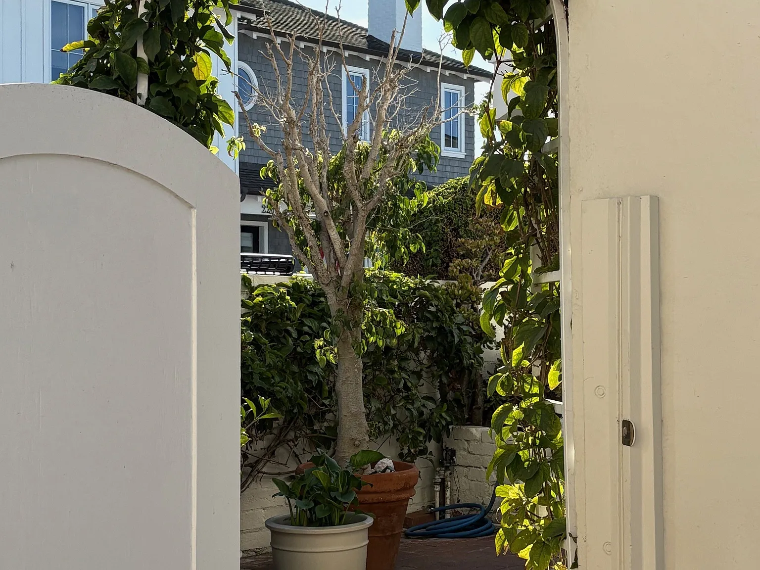 1 bed, 375 sqft, $3,350 — Photo 4