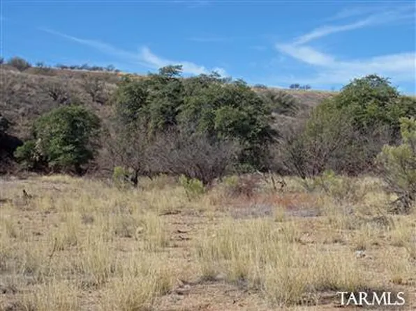 111 Lado De Loma Dr #32, Patagonia, AZ 85624