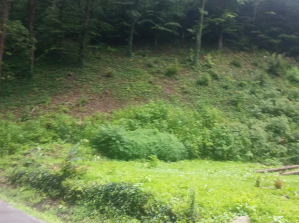 690 Ratliff Creek Rd, Pikeville, KY 41501