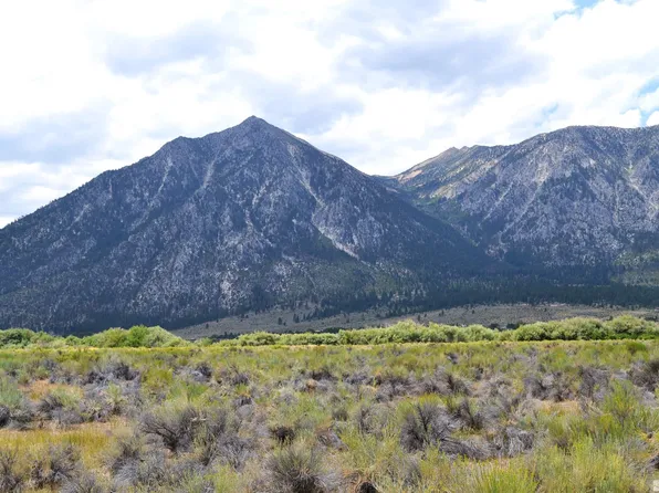 LOT Two Duck Pond Rd #B, Gardnerville, NV 89460
