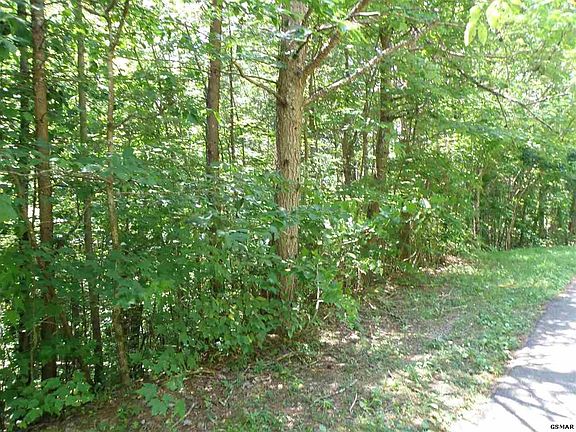 2nd image of 11 Mountain Rest Way Lot 11-C