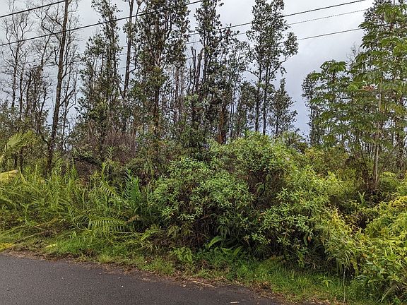 2nd image of Aloha Ct