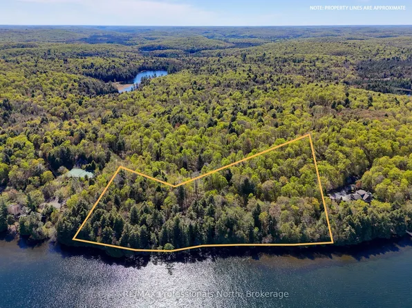 0 Old Sinclair Rd, Lake Of Bays, ON P1H 2J6