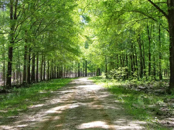 3694 County Road 115, Union Springs, AL 36089