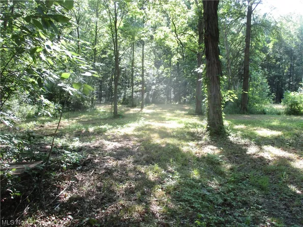 1205 Sheffleton Rd, Deerfield, OH 44411