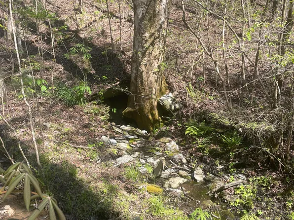 LOT 1 Old Furnace Rd, Tellico Plains, TN 37385