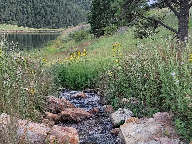 7522 County Road 61 — Photo 13