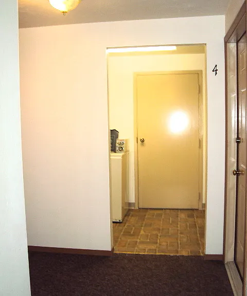 730 Abrams St #5 — Photo 10