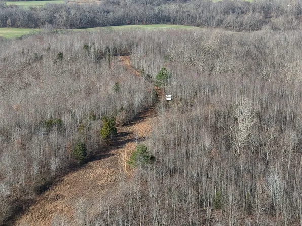 S Eagle Creek Rd, Holladay, TN 38341