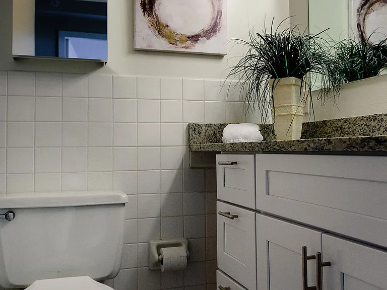 Tier 3 Bathroom