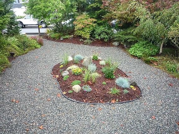 No Grass Front Yard