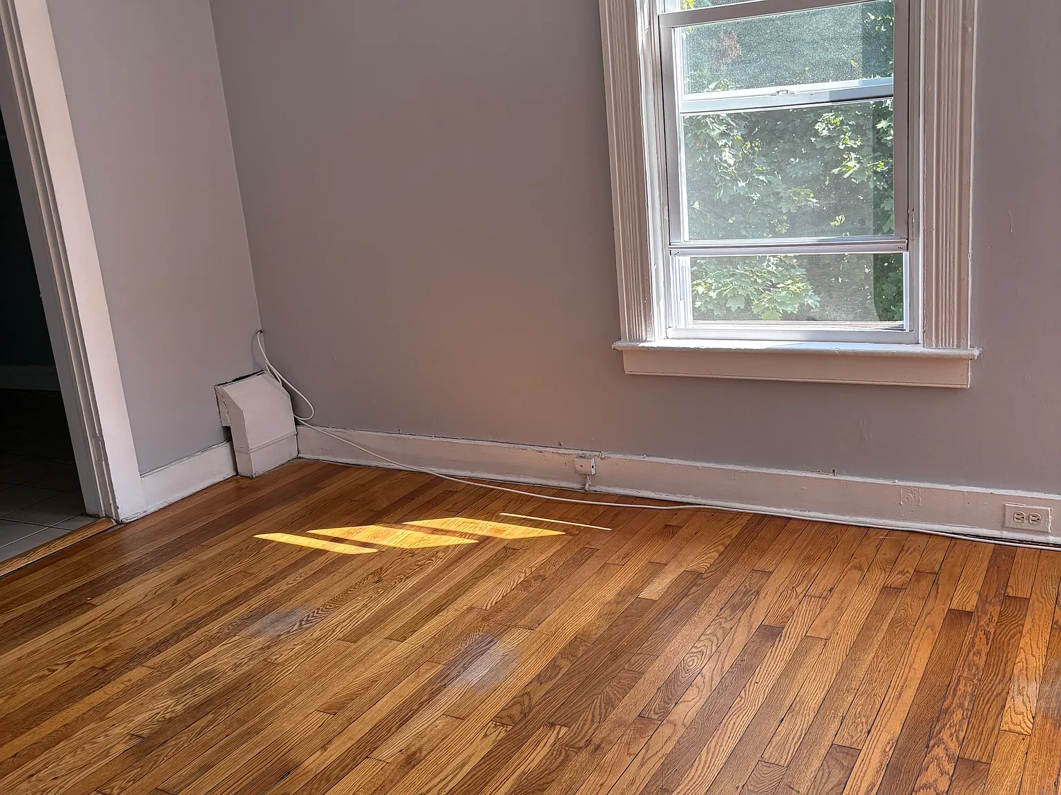 1 bed, 1100 sqft, $1,600 — Photo 4