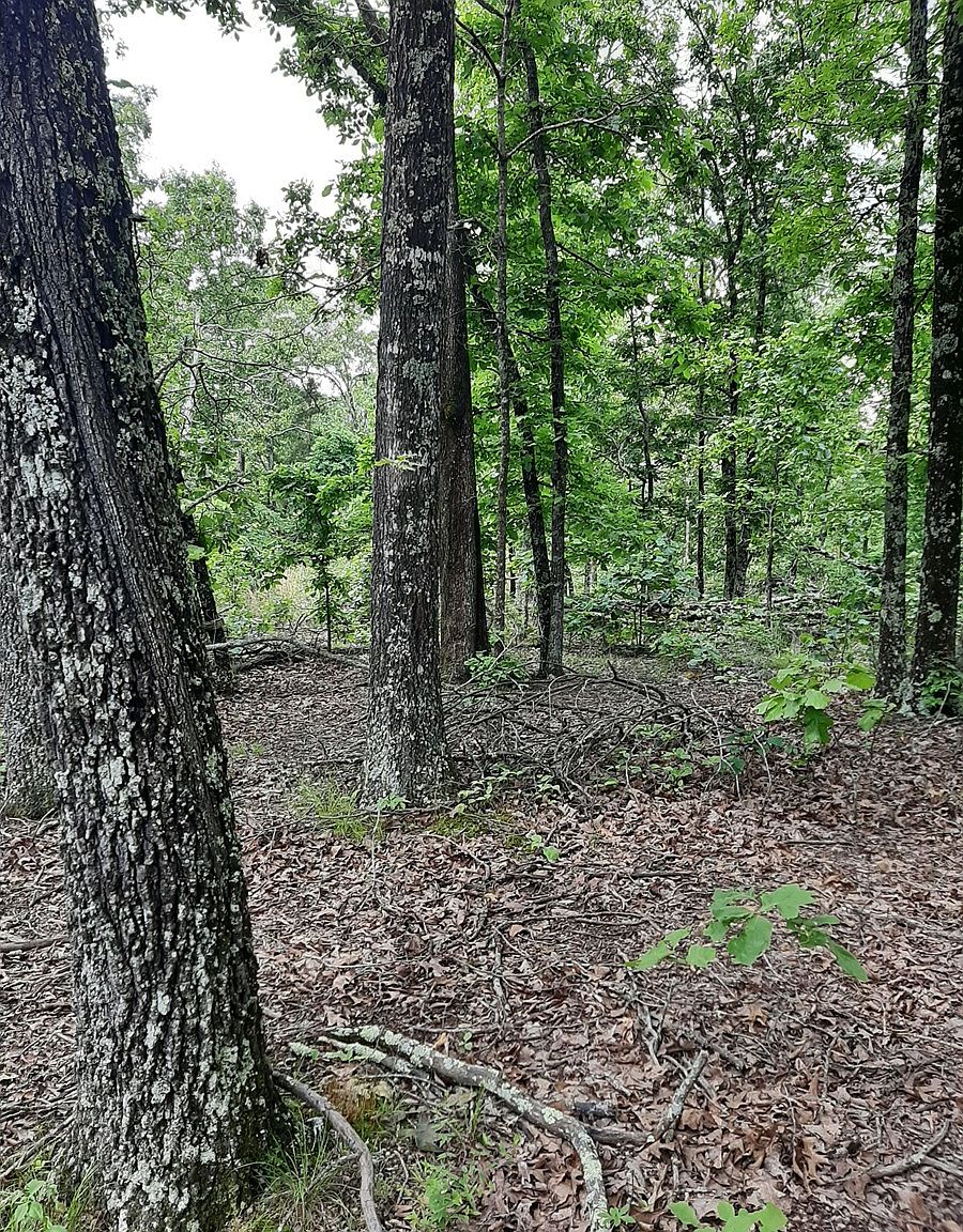 0 County Road 527a, Winona, MO 65588 Zillow