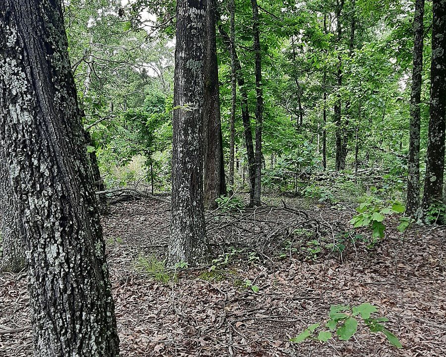 0 County Road 527a, Winona, MO 65588 Zillow