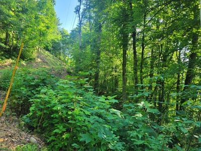 400 Mountain Laurel Rd, Maggie Valley, NC, 28751