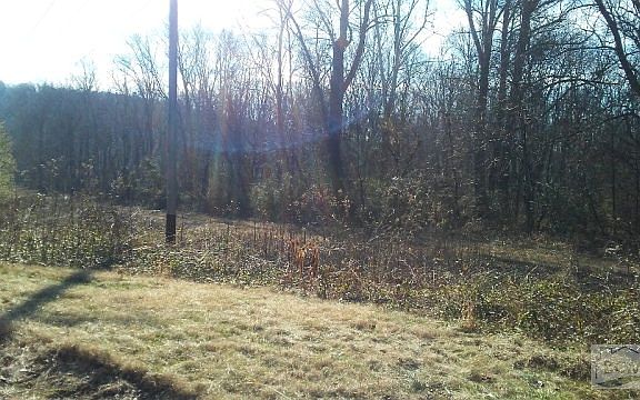2nd image of 116 Knob Creek Ln