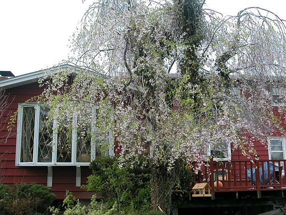 5th image of 218 Slawson Dr