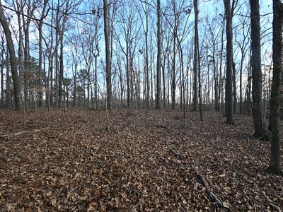 0 Highway 412 W, Linden, TN, 37096