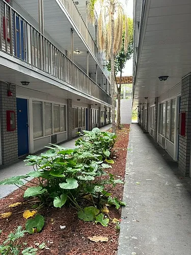 Altamonte Terrace Apartments Photo 1