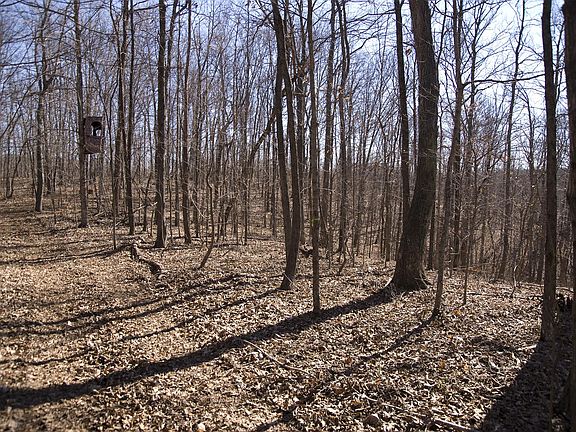 5th image of 0 Straight Creek Rd