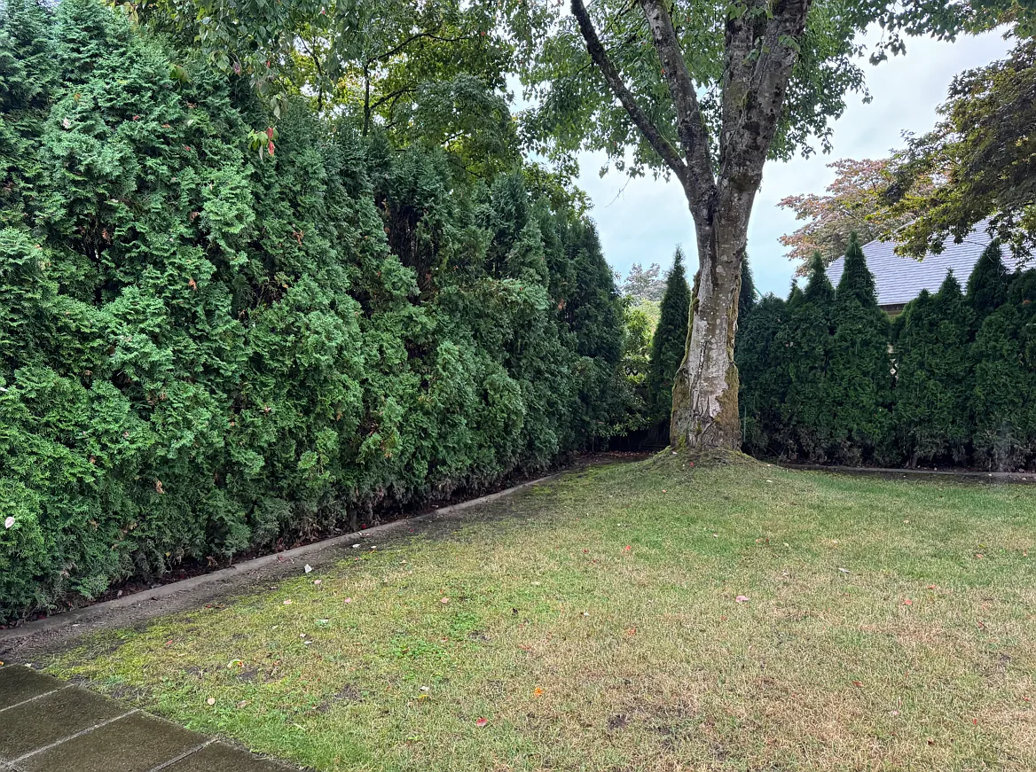 3 bed, 1500 sqft, $7,000 — Photo 4