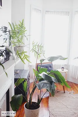 Rented by Native Real Estate LLC | media 15